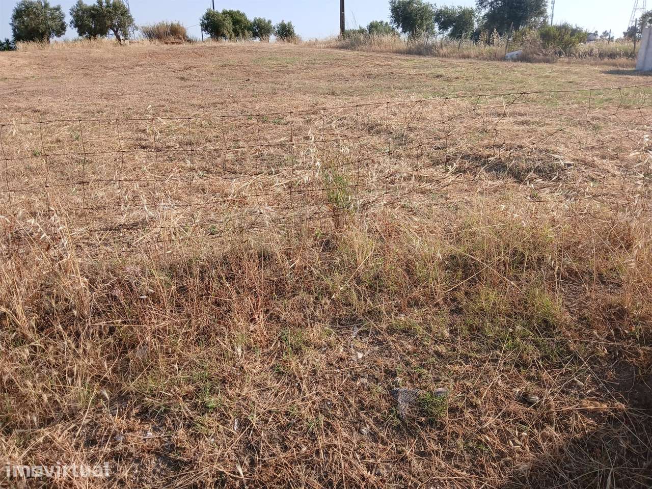 Terreno Para Construção  Venda em Meia Via,Torres Novas - Grande imagem: 3/11