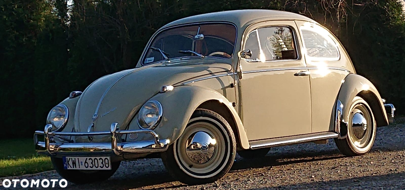 Volkswagen Garbus - 3