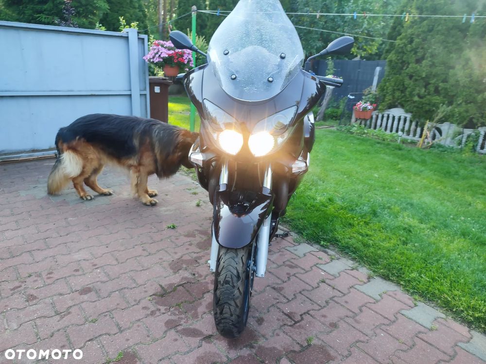 Moto Guzzi Norge - 16