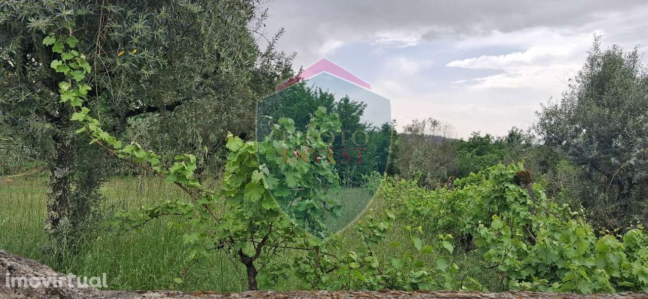 Terreno Para Construção  Venda em Santos Evos,Viseu - Grande imagem: 3/7