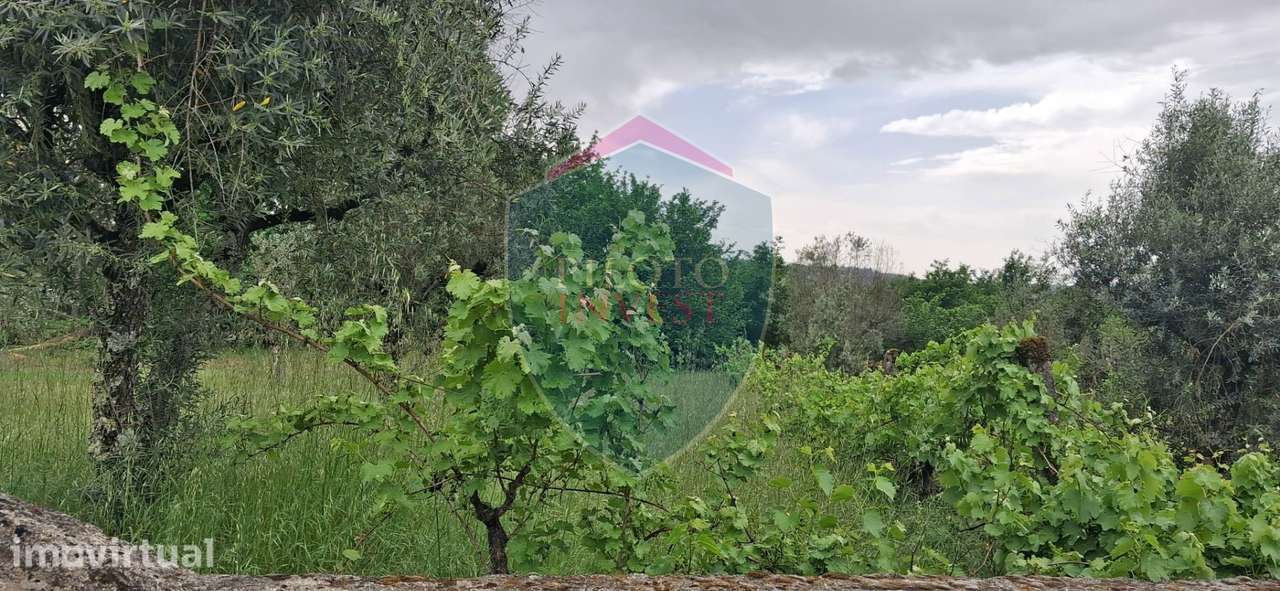 Terreno Para Construção  Venda em Santos Evos,Viseu - Grande imagem: 3/7