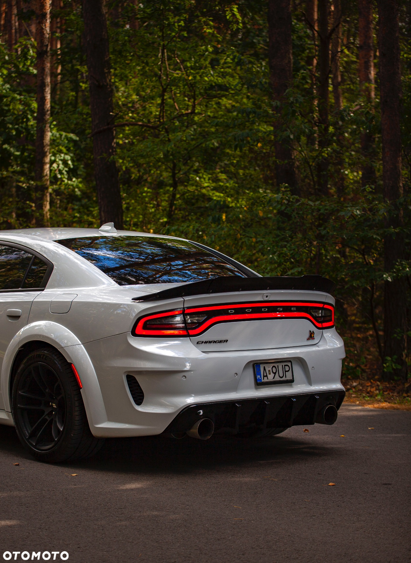 Dodge Charger 6.4 Scat Pack Widebody - 4