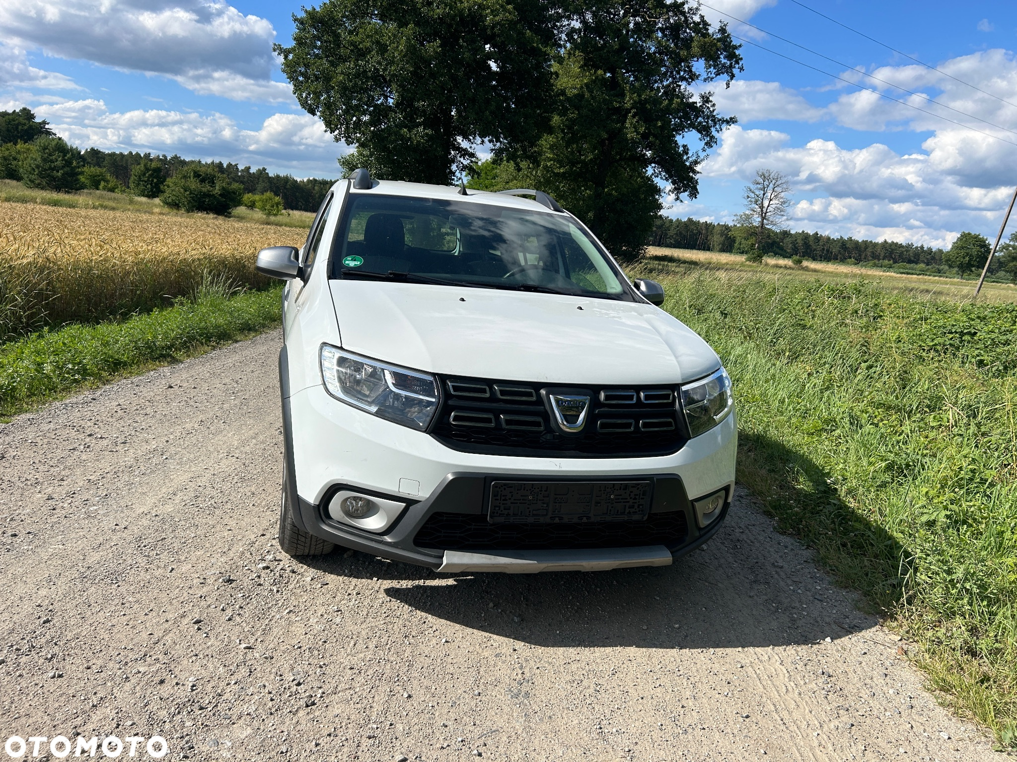 Dacia Logan MCV TCe 100 Stepway - 3