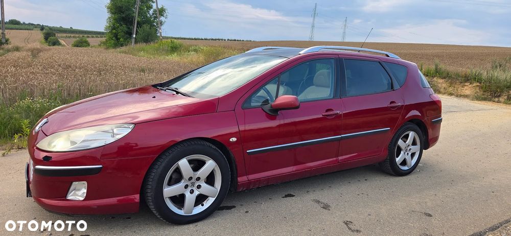 Peugeot 407 - 1