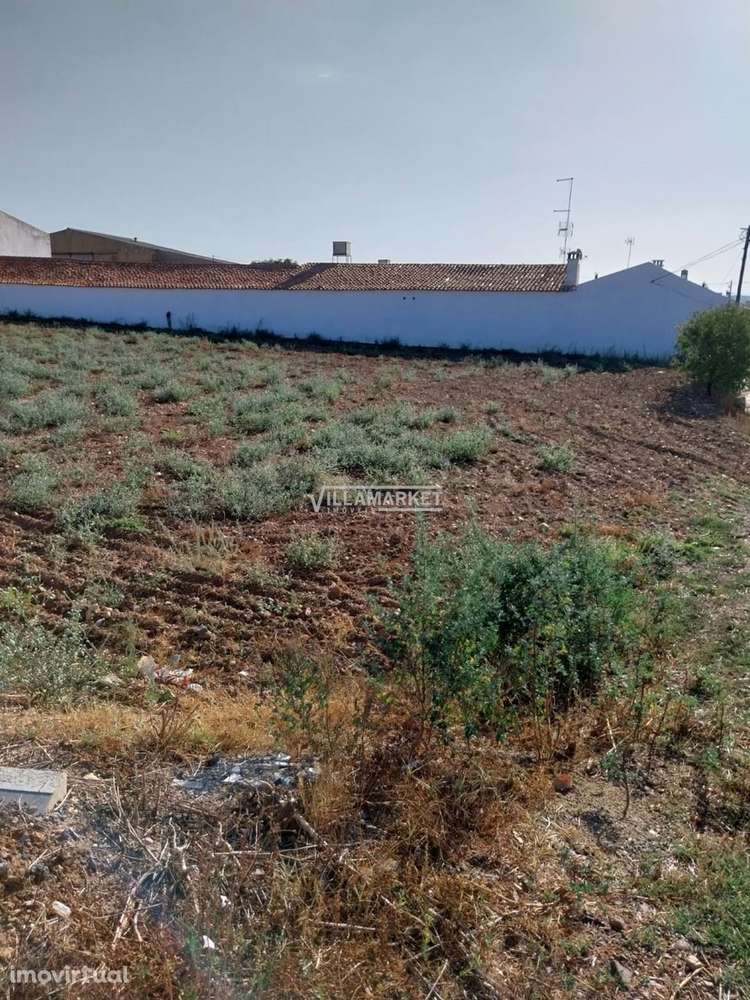 Terreno  em S João de Negrilhos - Grande imagem: 4/5