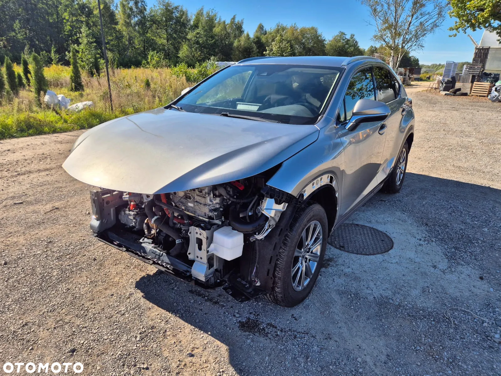 Lexus NX 300h - 4