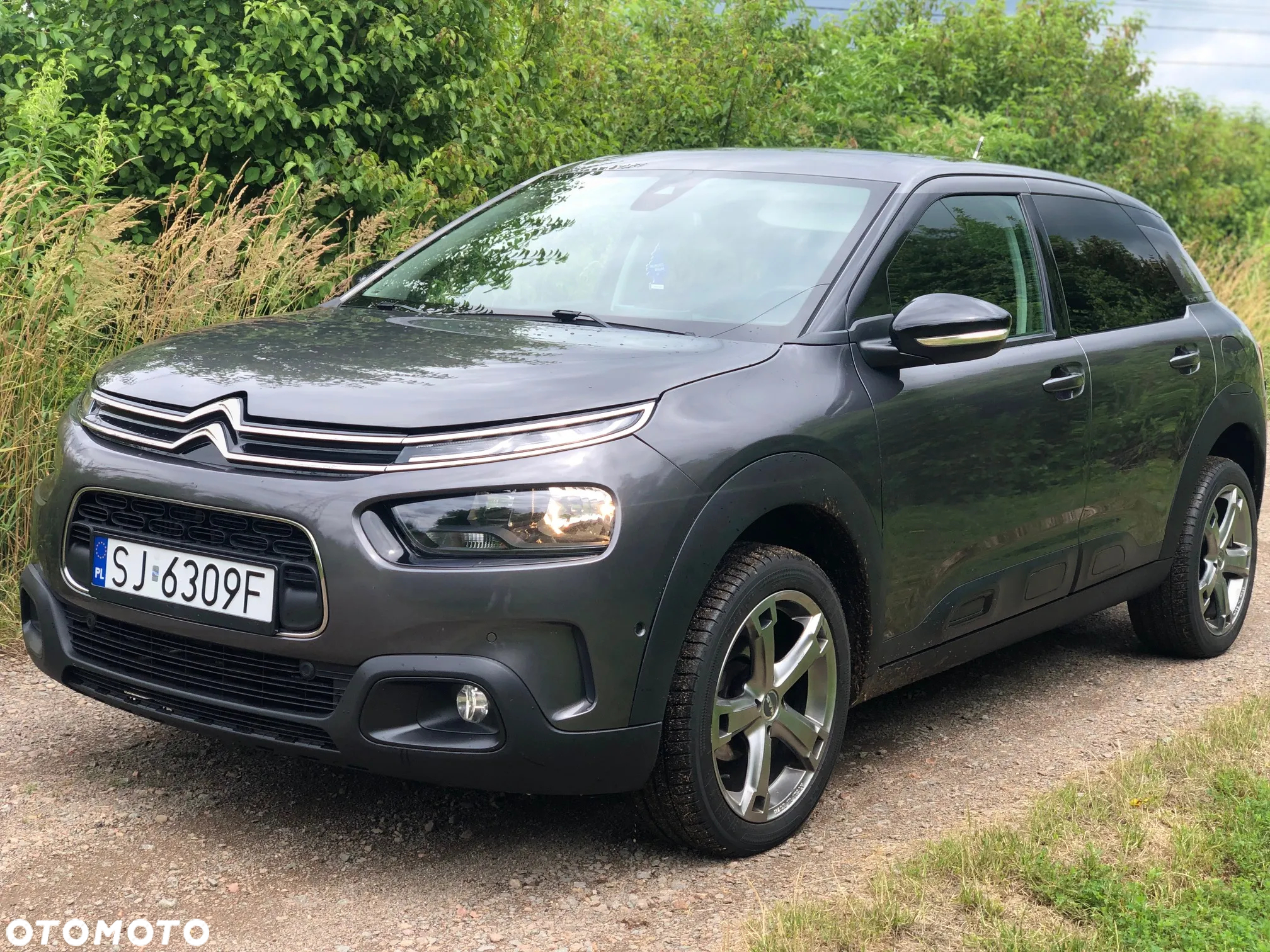 Citroën C4 Cactus BlueHDi 100 Stop&Start Feel Edition - 17