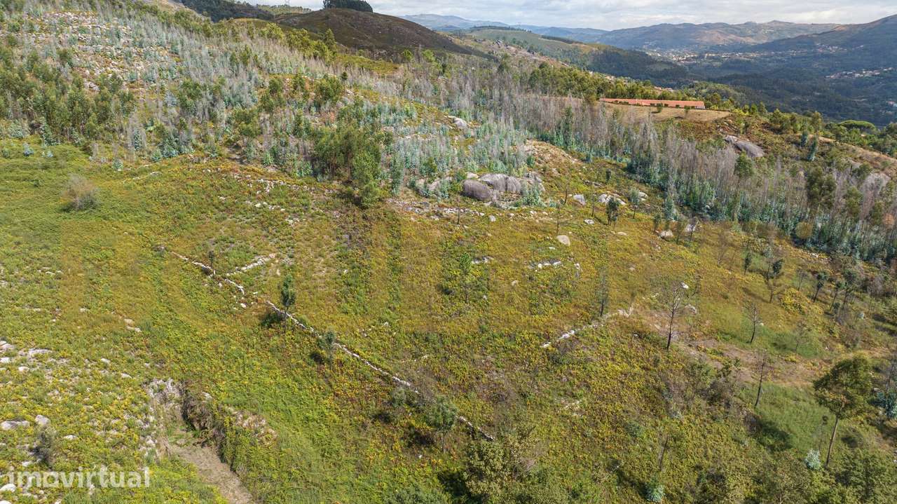 Terreno com 18.500m² em Brunhais - Grande imagem: 5/13