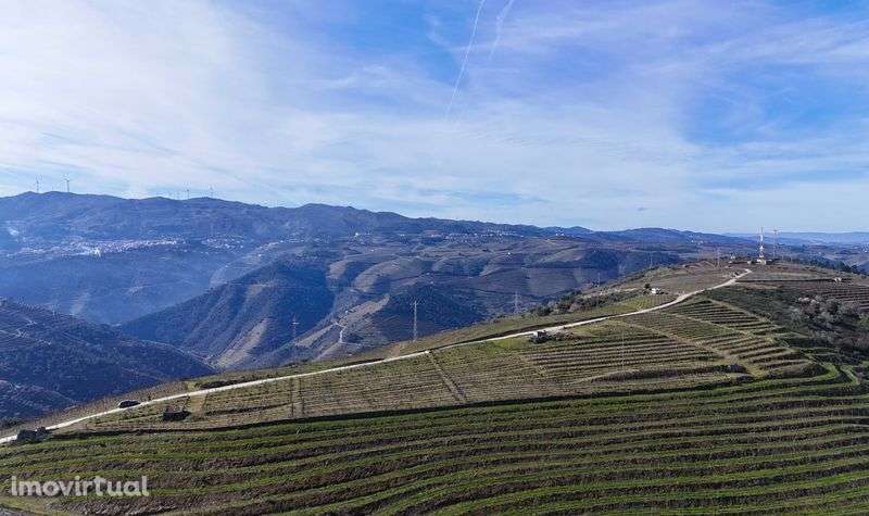 Vende-se terreno rústico em Valença do Douro - Tabuaço - Grande imagem: 4/12
