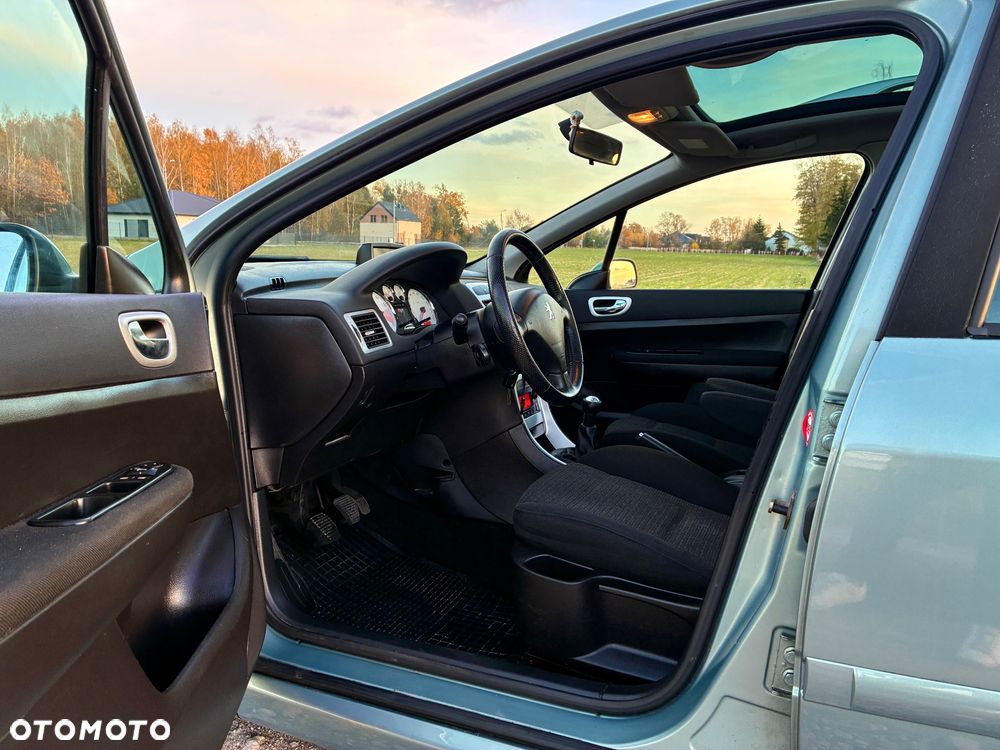 Peugeot 307 1.6 Oxygo - 8