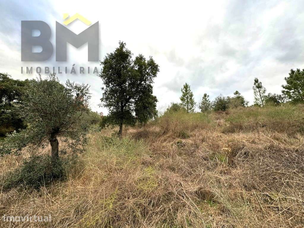 Terreno rústico com 3080m2, para venda, em Salgueiro do Campo! - Grande imagem: 4/10