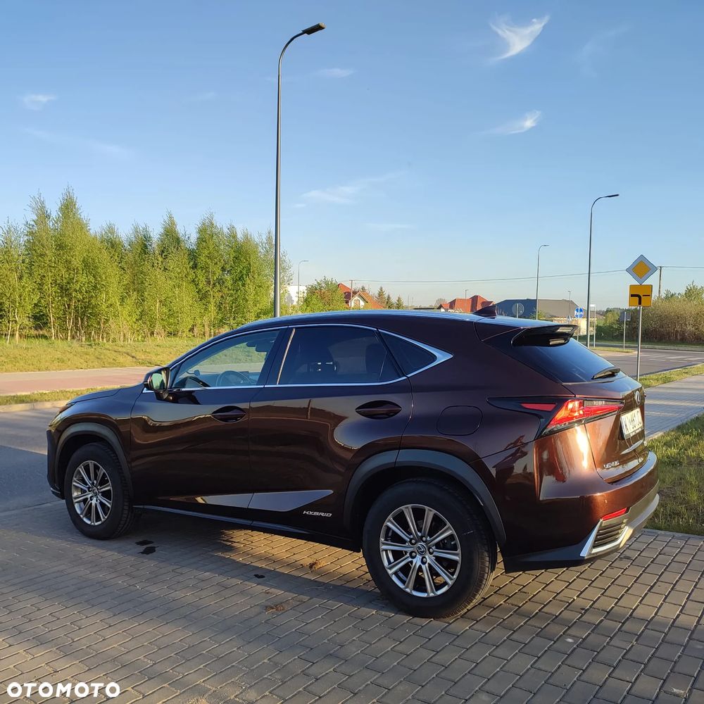 Lexus NX 300h Elegance Optimum AWD - 4