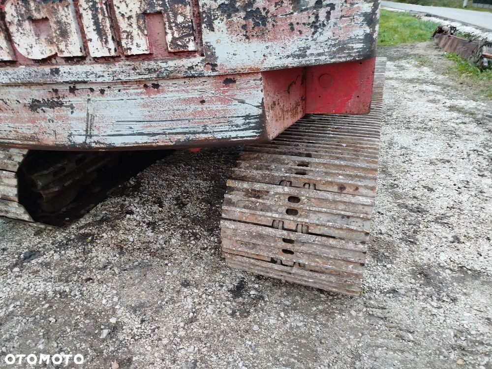 Case 61 błotniak - 3