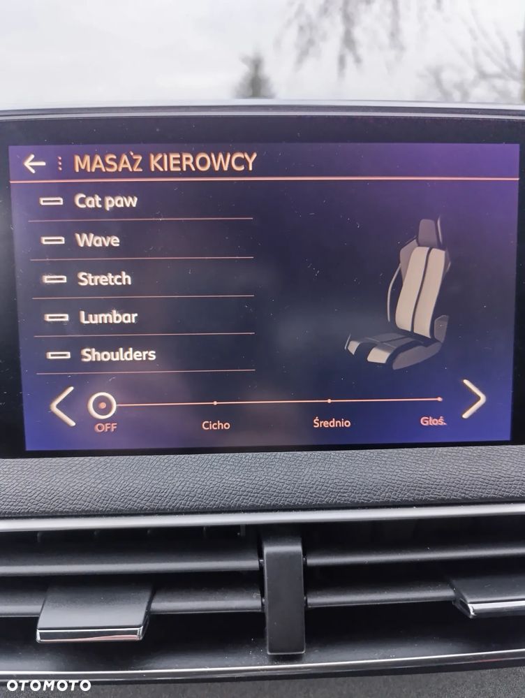 Peugeot 3008 - 15