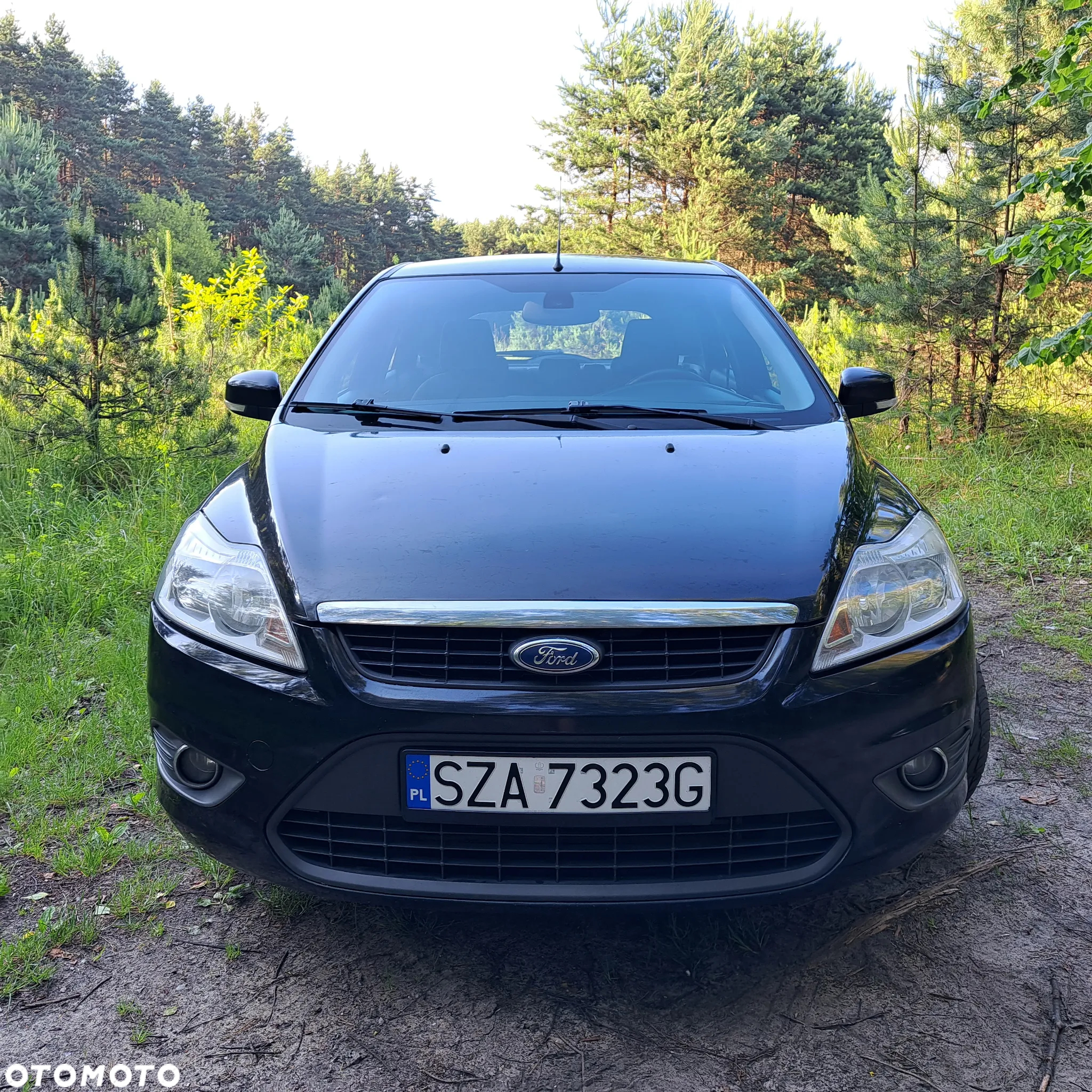 Ford Focus - 8