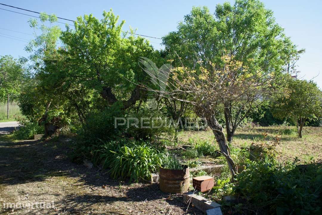 Casa de Aldeia com Terreno, Poço | Sobral – São Vicente do Paul - Grande imagem: 4/40
