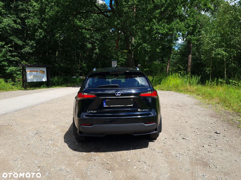 Lexus NX - 5