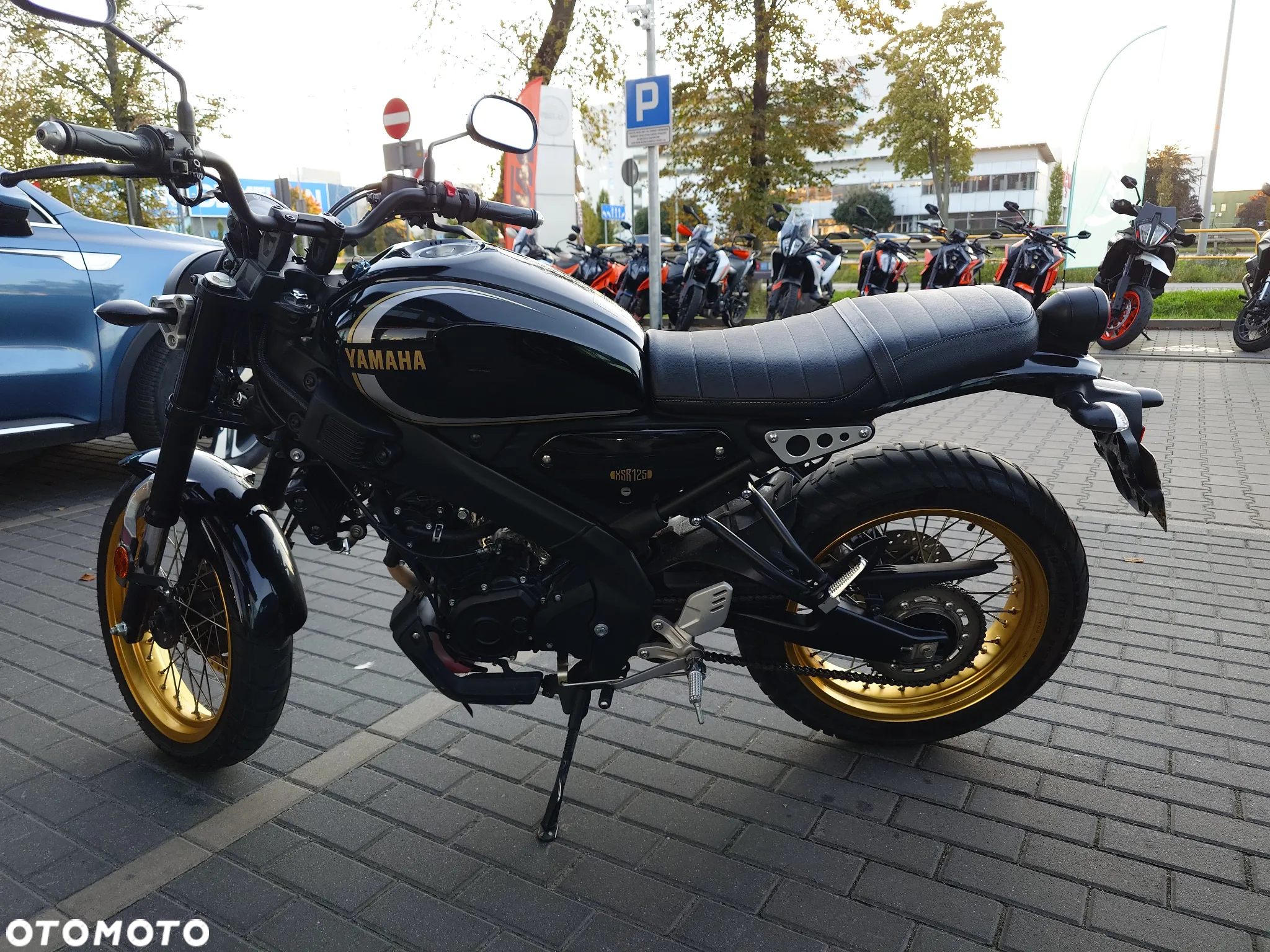Yamaha XSR - 8