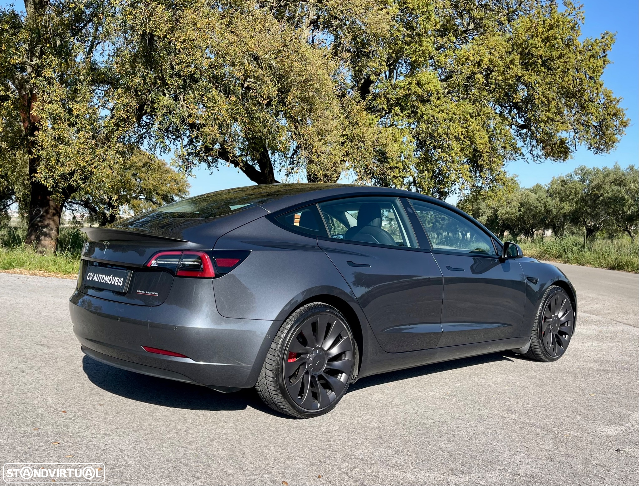Tesla Model 3 Performance Dual Motor AWD - 6