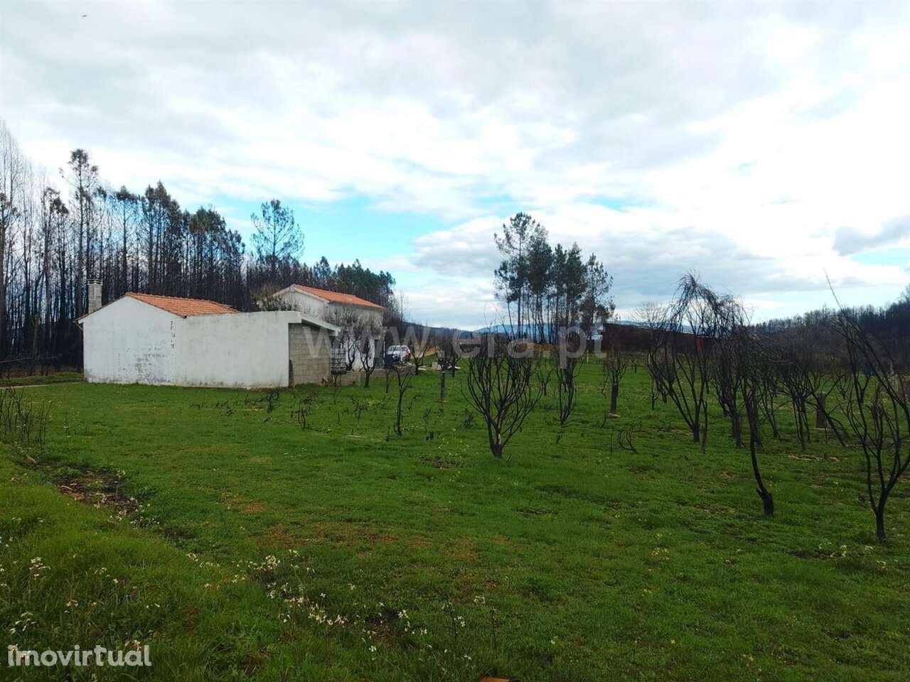 Quintinha T1 / Covilhã, Erada - Grande imagem: 3/16
