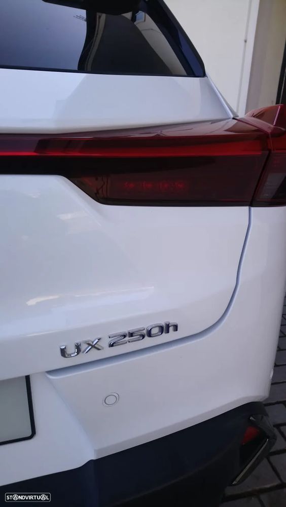 Lexus UX 250h F Sport - 7