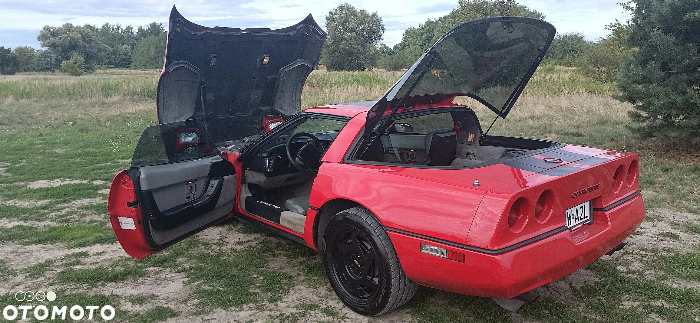 Chevrolet Corvette - 6