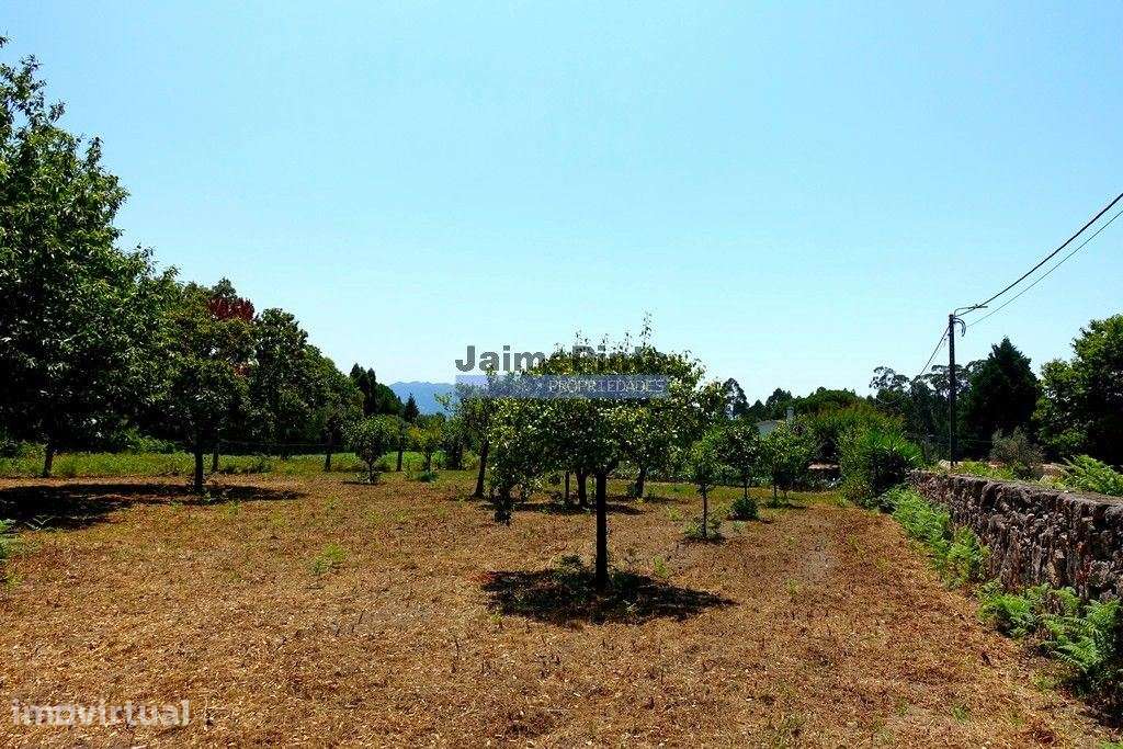 Casa, quinta mini, 1.200m2, Ponte de Lima. Portugal, Viana do Caste... - Grande imagem: 4/9