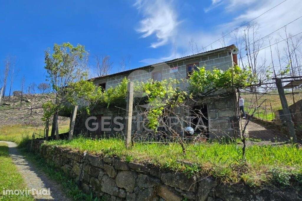 Moradia para recuperar com vista para o Douro em Balde, Baião - Grande imagem: 3/31