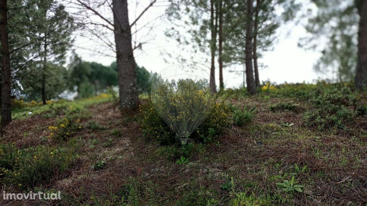 Terreno  para venda - Grande imagem: 3/5