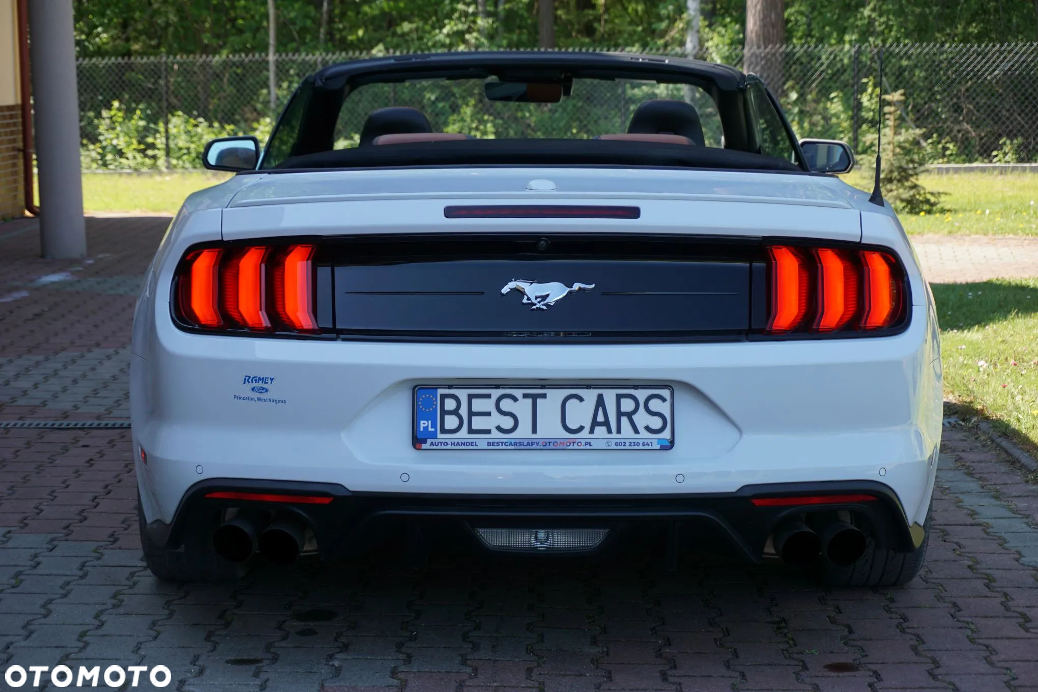 Ford Mustang Cabrio 2.3 Eco Boost - 18