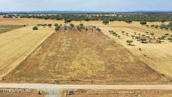 Quinta 12500m2 Alvalade - Grande imagem: 5/10
