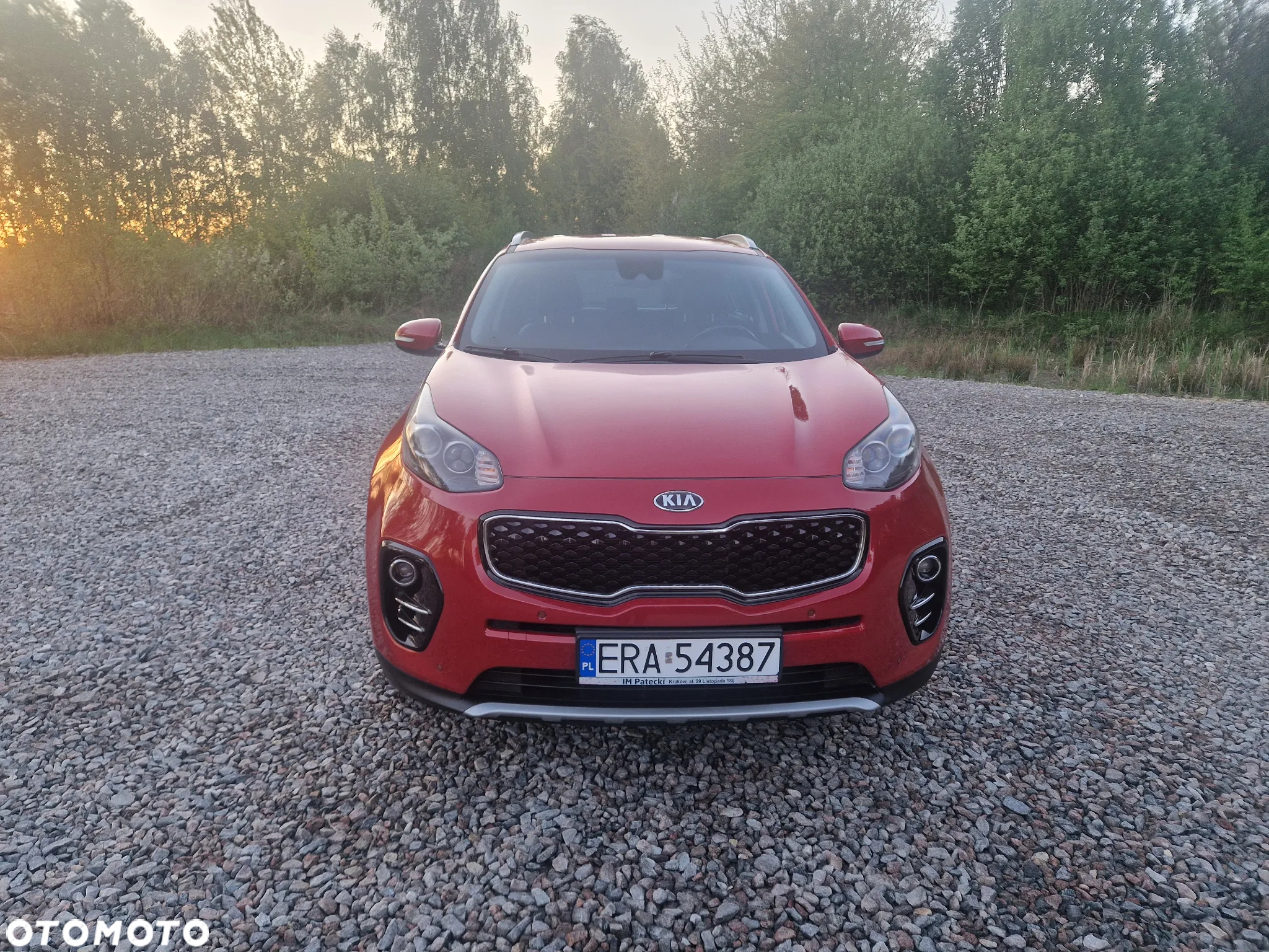 Kia Sportage 1.6 T-GDI L Business Line Plus 4WD DCT - 8