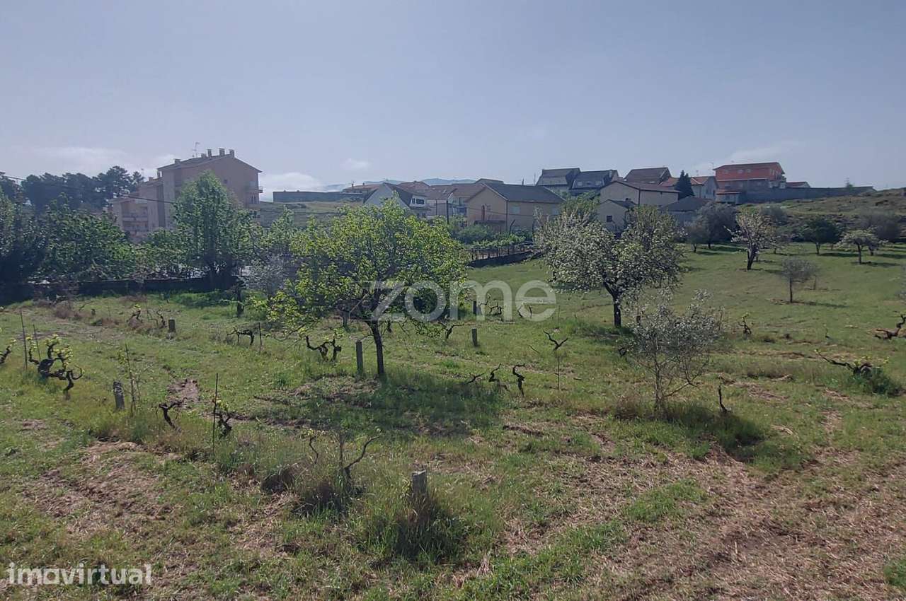 OPORTUNIDADE ÚNICA | Terreno 7.772 m² com elevado potencial – pohled 5