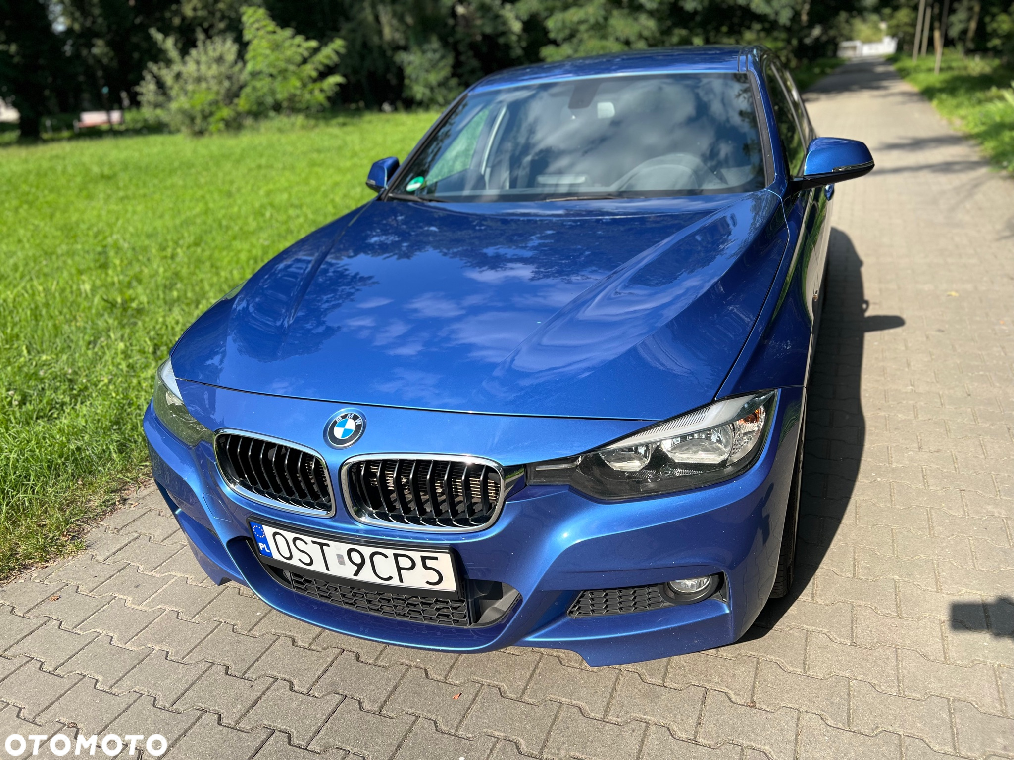 BMW Seria 3 316d M Sport Shadow - 6