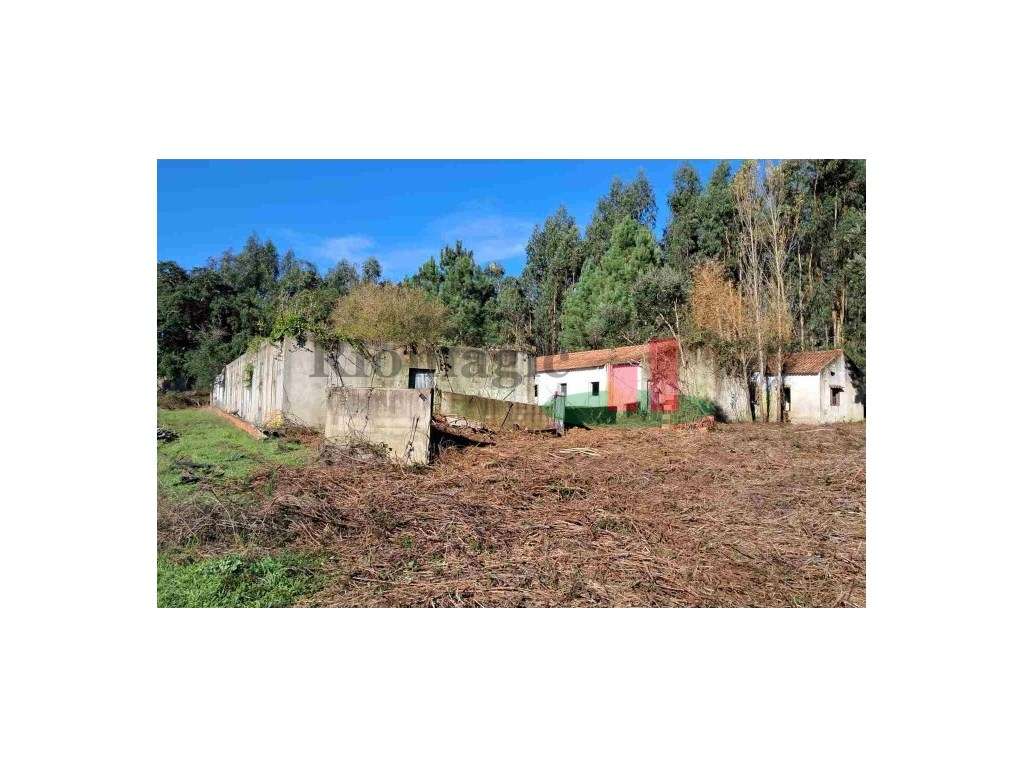 Terreno Misto Asseiceira***RIOMAGIC*** - Grande imagem: 2/10
