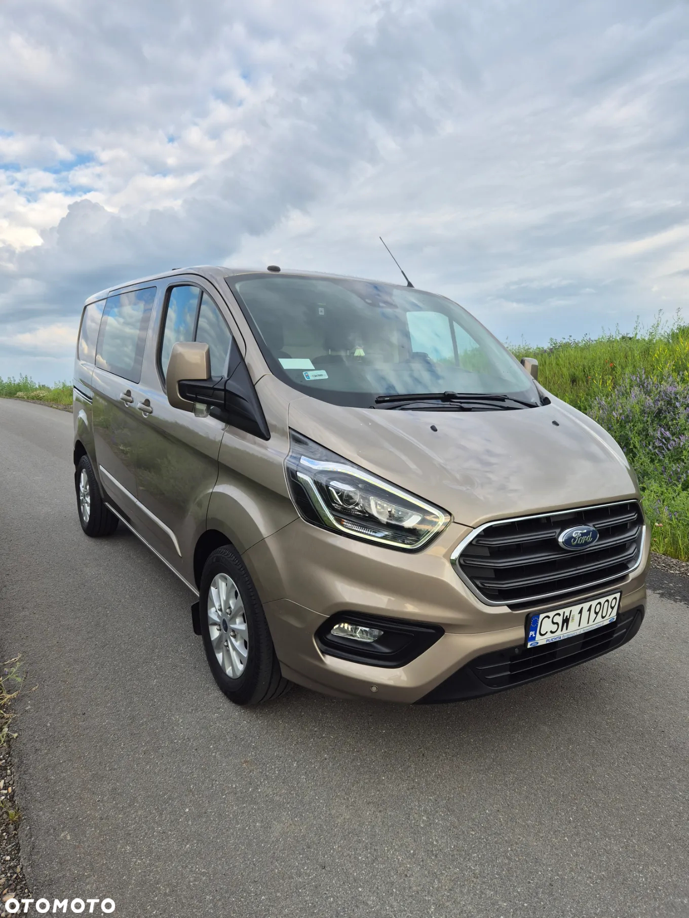 Ford Transit Custom - 4