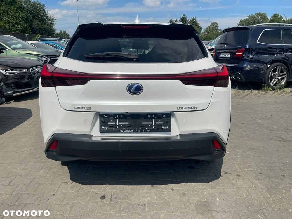 Lexus UX 250h GPF Business 2WD - 7