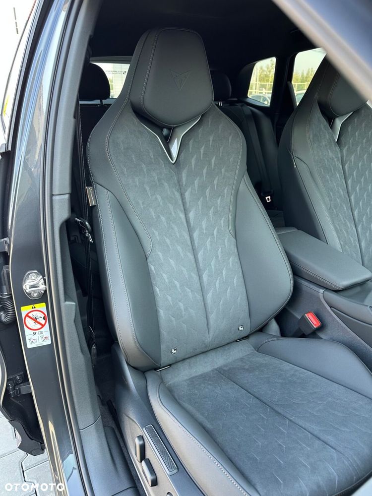 Cupra Terramar 2.0 TSI 4Drive DSG - 25