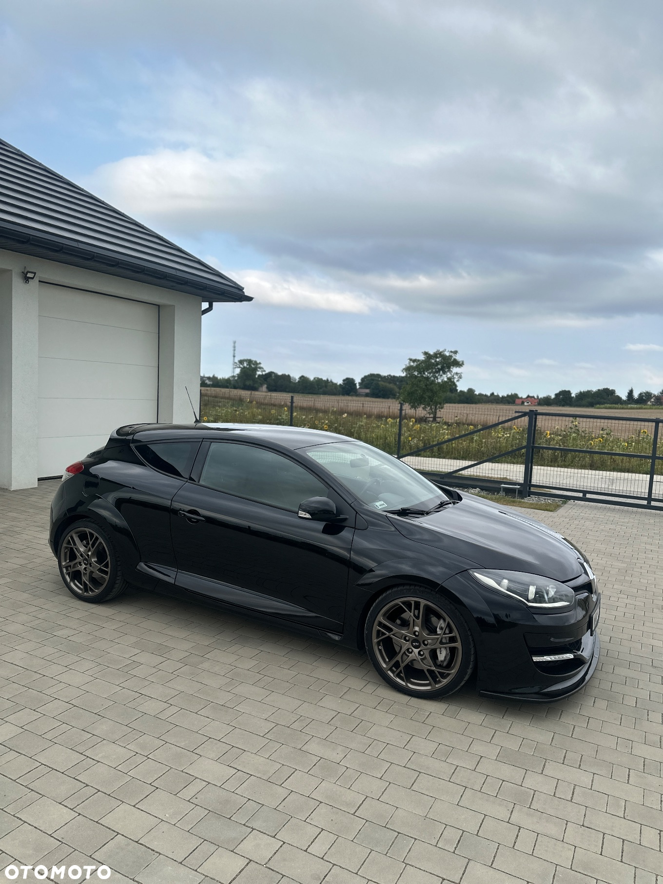 Renault Megane 2.0 16V R.S - 17