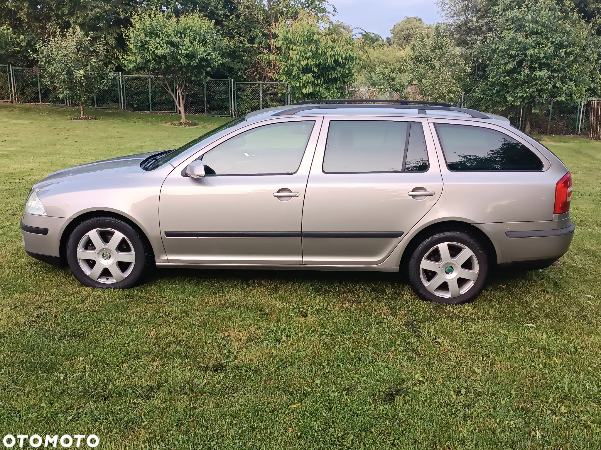Skoda Octavia 1.9 TDI Elegance - 2