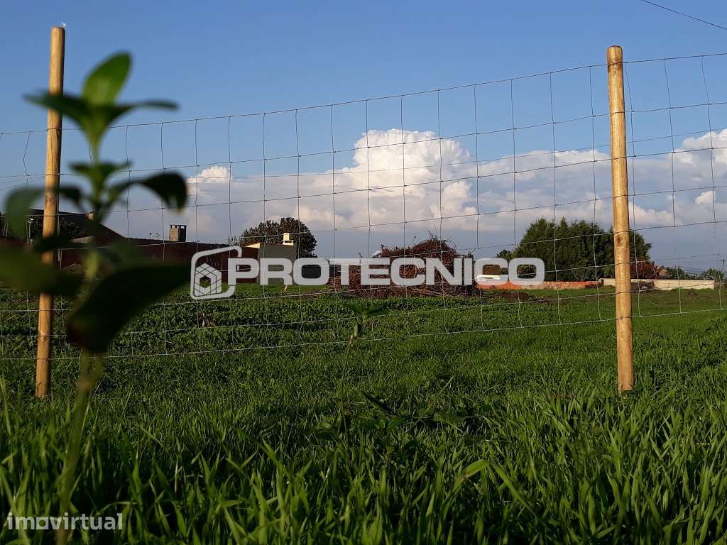 Terreno com 20m de frente - Sarrazola - Grande imagem: 2/6