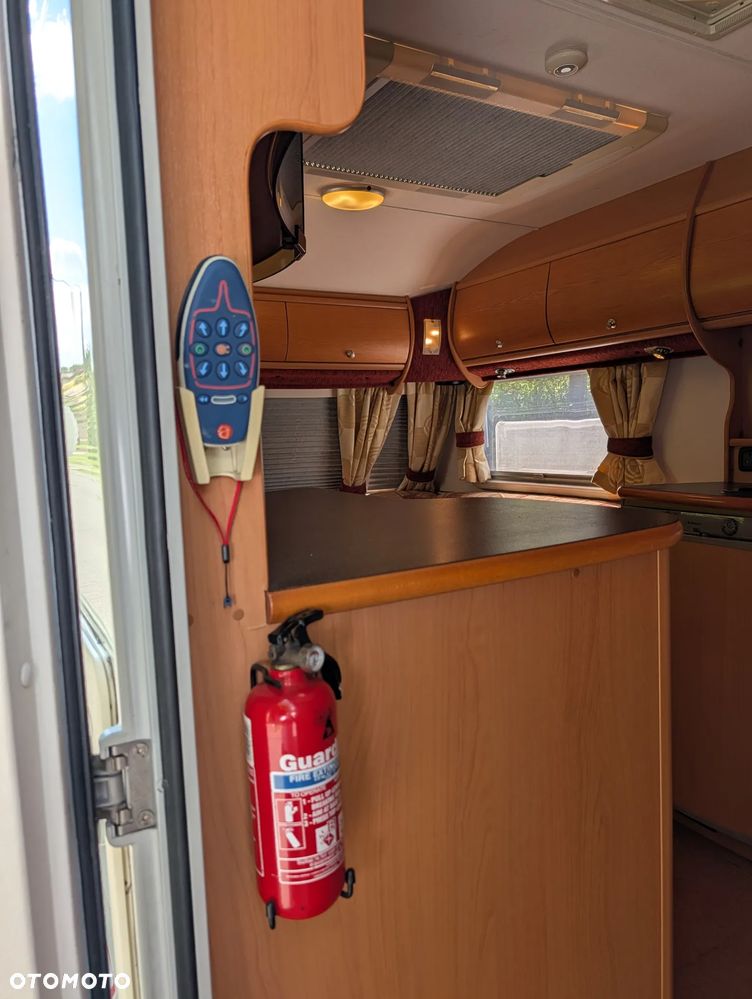 Avondale Golden Avocet - 27