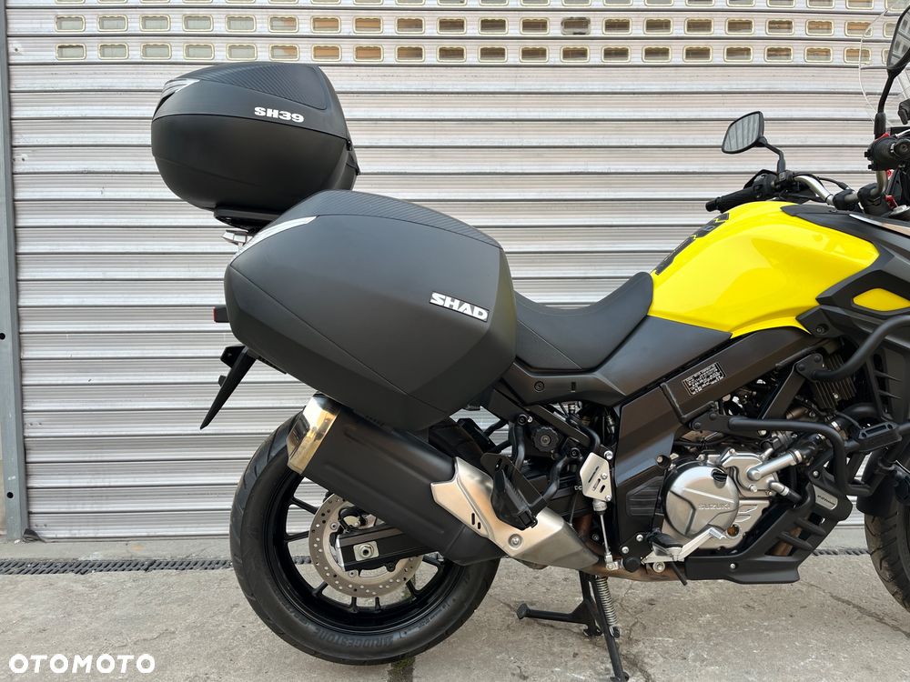 Suzuki DL - 10