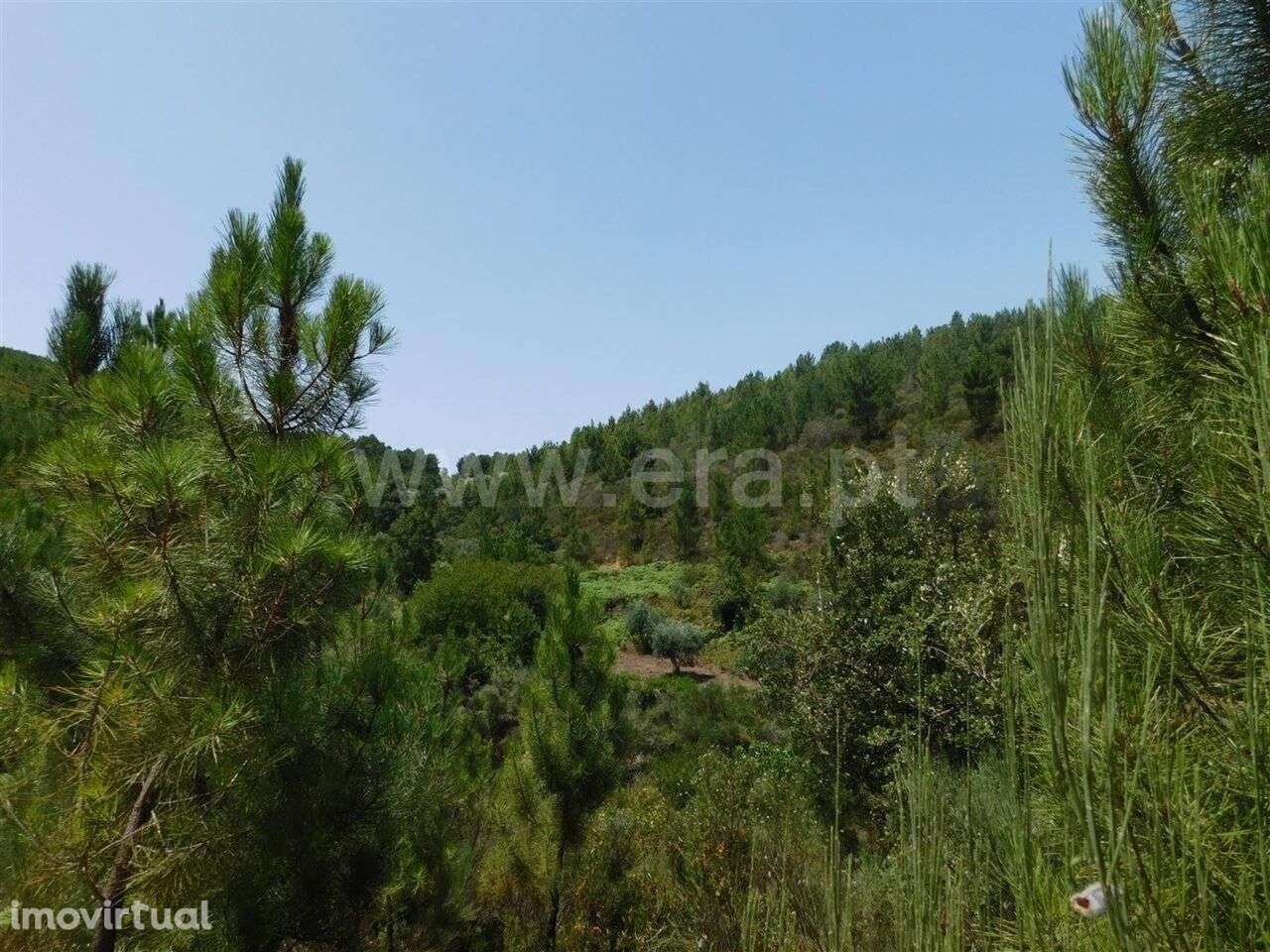 Quinta / Fundão, Lavacolhos - Grande imagem: 2/4