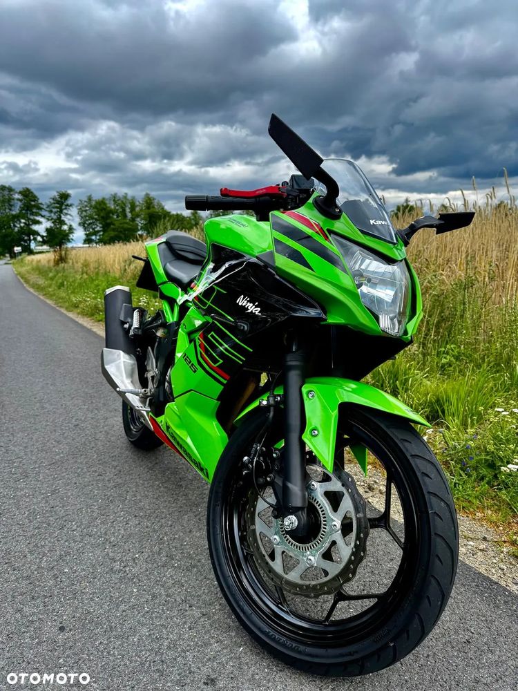 Kawasaki Ninja - 6