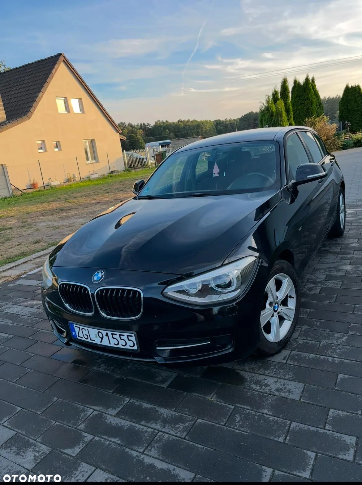 BMW Seria 1 116i Sport Line - 1