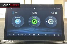 BYD Dolphin Surf - 19