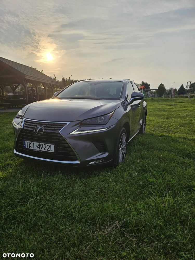 Lexus NX - 5