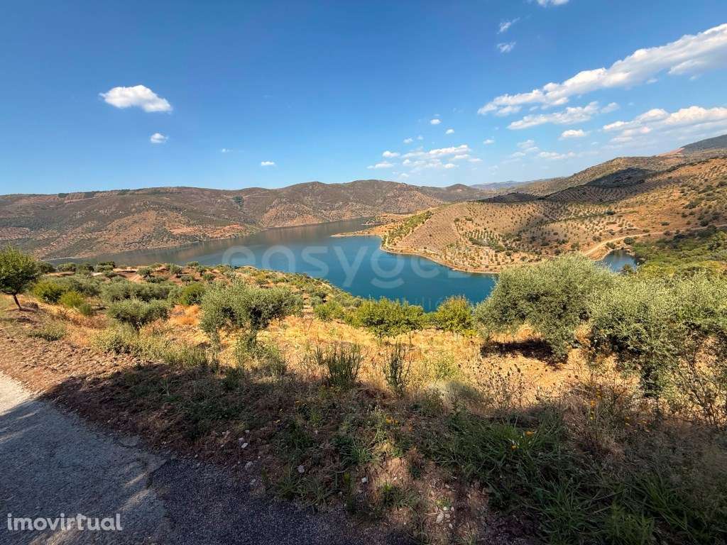 Terreno Agrícola com Oliveiras e Amendoeiras - Vista Deslumbrante p... - Grande imagem: 2/16