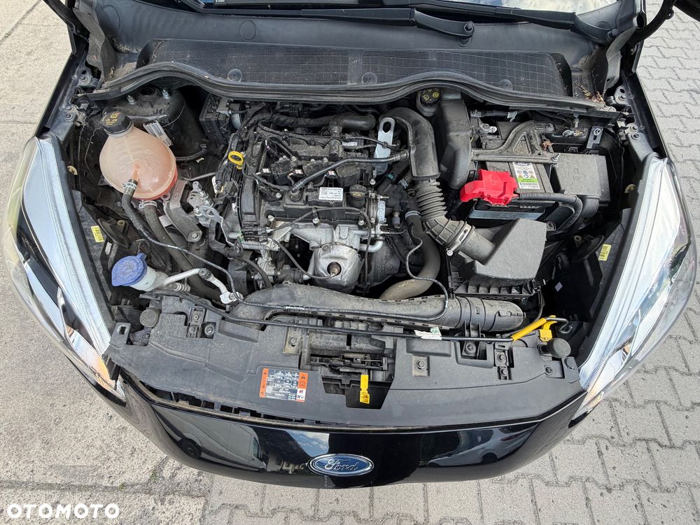 Ford Fiesta - 31